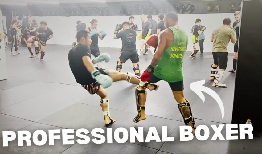 Professional Boxer Tries Muay Thai/MMA Sparring