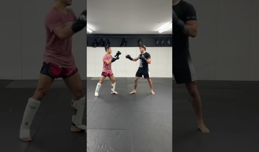 Hard Sparring Dutch UFC Fighter