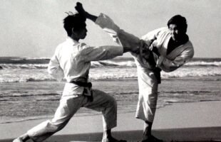 The Art and Discipline of Karate: A Comprehensive Guide