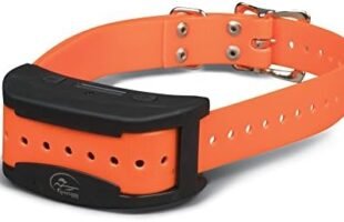 Upgrade Your Training Game with the SportDOG Brand Contain + Train Add-A-Dog Collar! Control, Train, and Contain Your Dog with Ease.