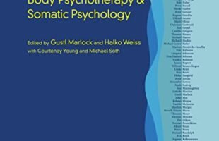 Unleash the Power of Body Psychotherapy: A Comprehensive Review for Psychologists and Therapists