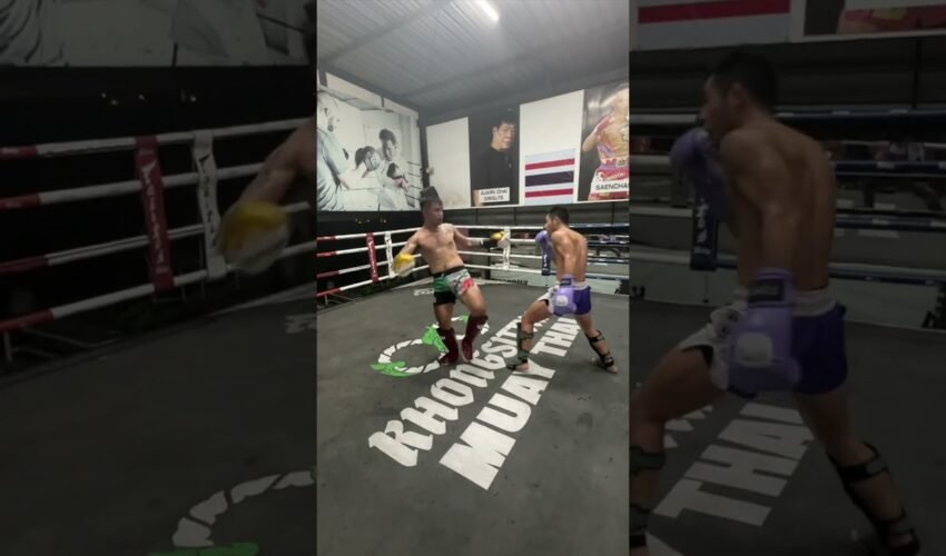 Hard Sparring Taiwanese Pro MMA Fighter